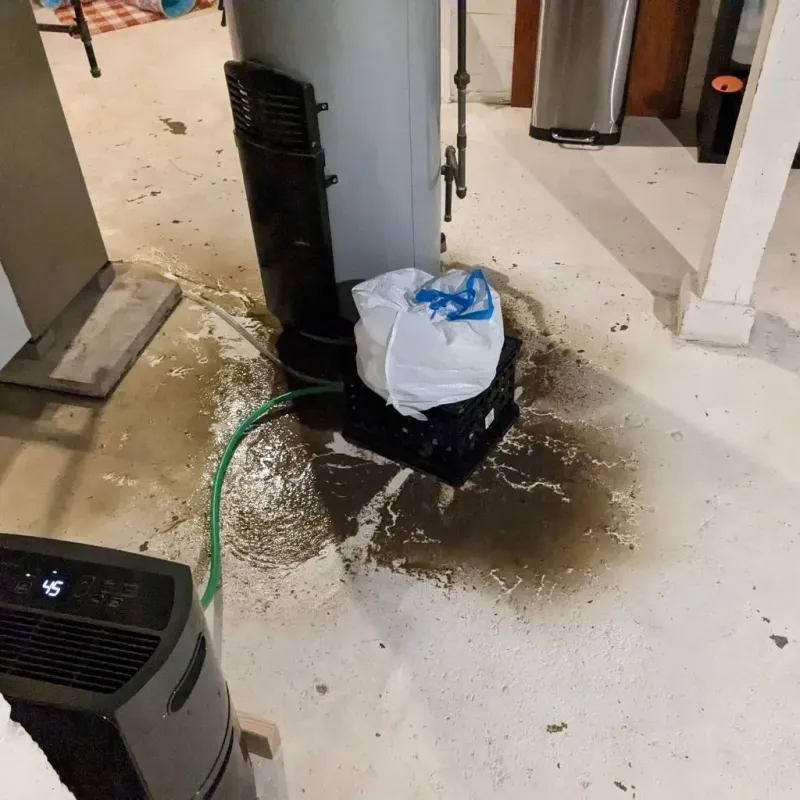 Sewage Backup Cleanup Service in Montgomery County, IA